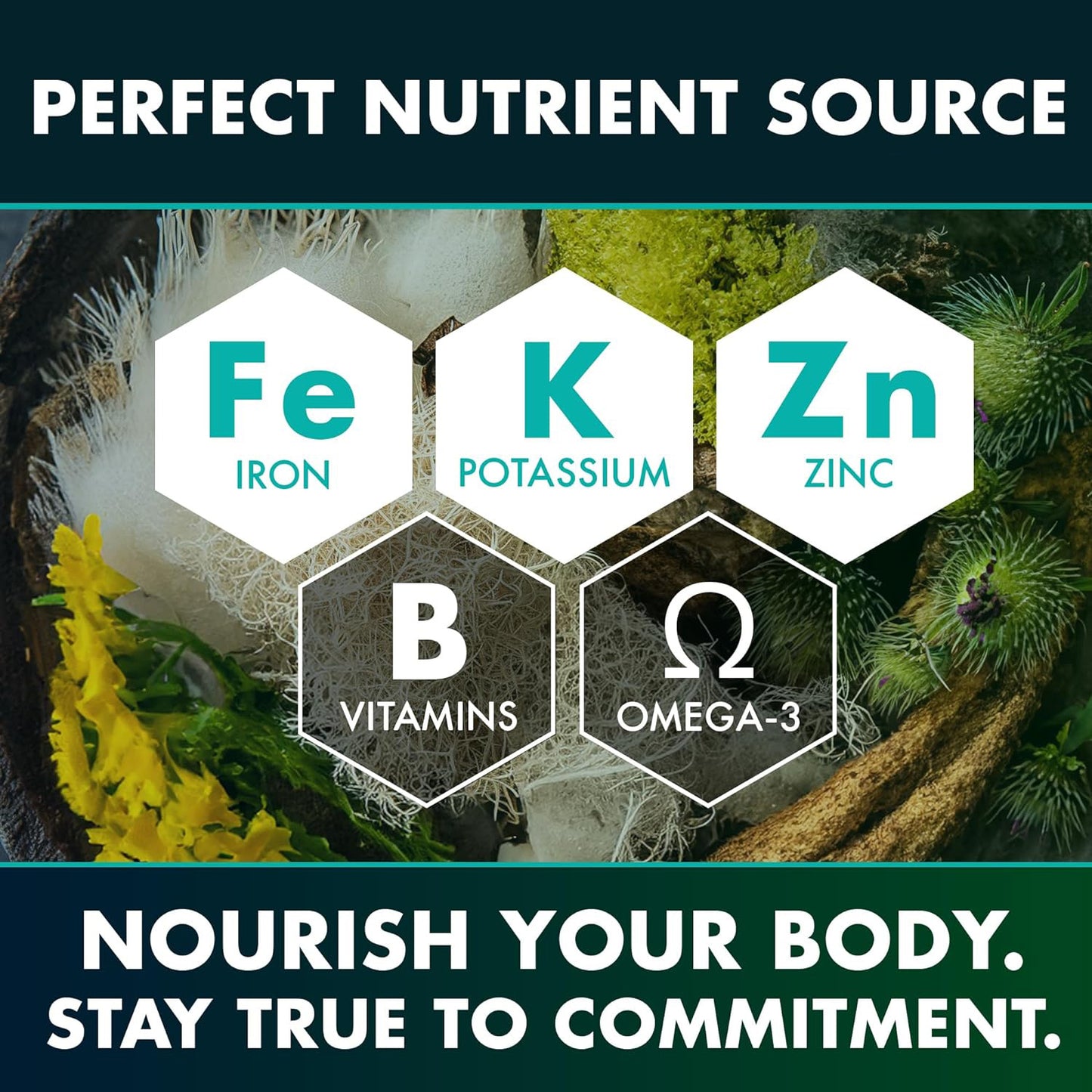 Seaweed Compound Vitamin Capsules - lotbak