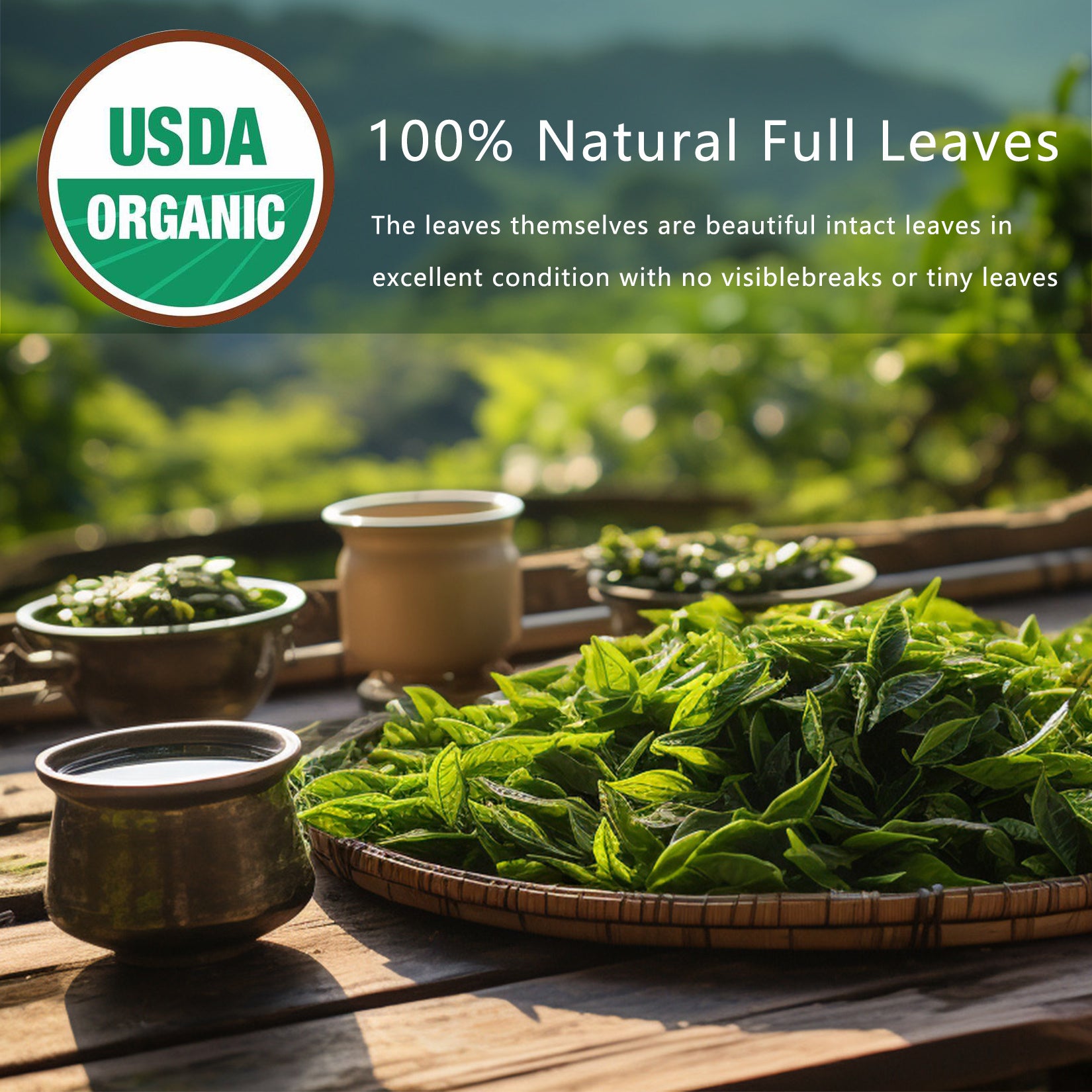 Detox Cleanse Tea Natural Herbal Tea Bags Oolong Leaf For Lung Cleanse Congestion Relief Herbal Detox Caffeine-Free Non-GMO Organic For Gut Health Immune Boost - lotbak